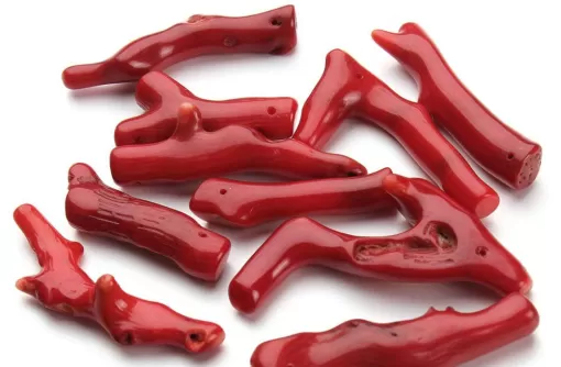 Le corail rouge, un porte bonheur Corse..., Porto-Vecchio, L'artisanat by CM