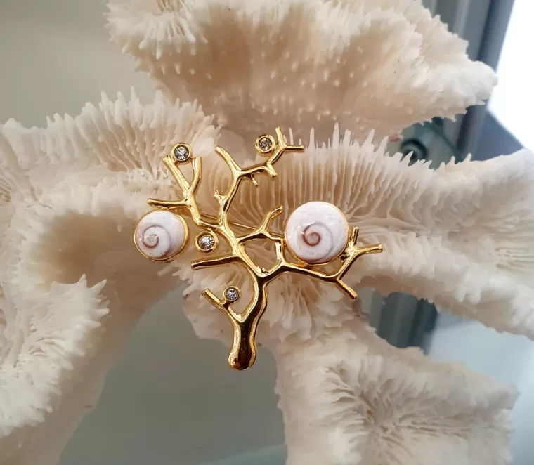 Oeil sainte lucie