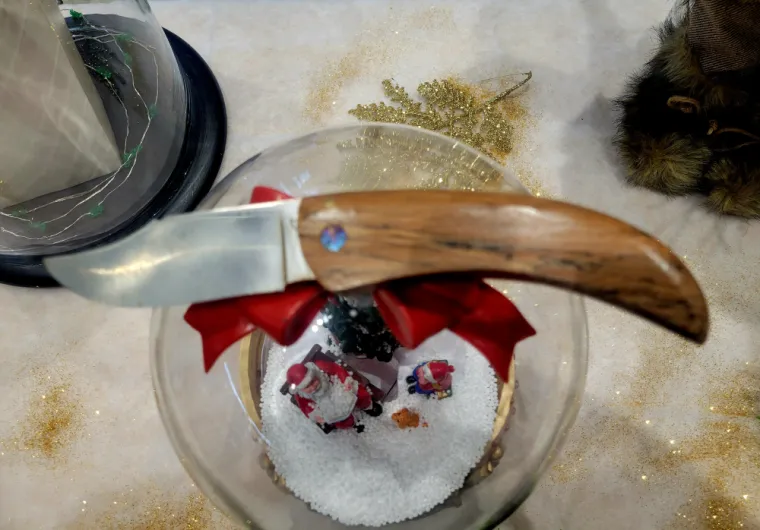 Hêtre porto vecchio 