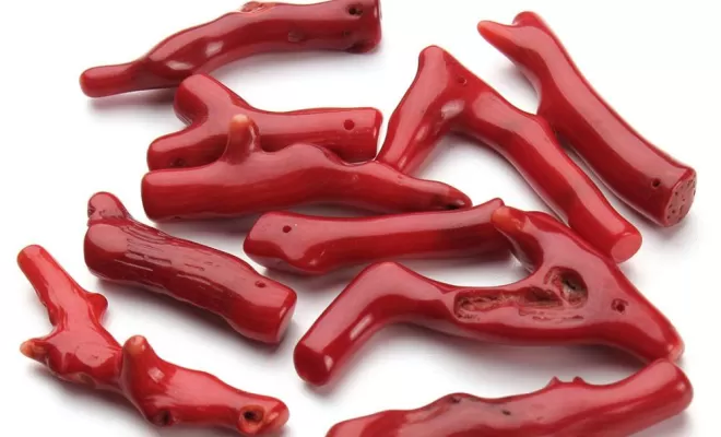 Corail rouge un porte bonheur Corse